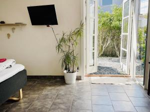 a bedroom with a tv on the wall and a plant at Rørvig Bed & Kitchen in Rørvig
