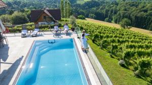 an aerial view of a swimming pool in front of a vineyard at Weinquartier Pichler-Schober in Mitteregg