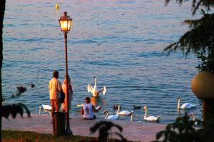 a group of people watching swans in the water at Camping Bella Italia in Peschiera del Garda