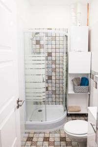 a bathroom with a shower and a toilet at All In Apartman III. in Budapest