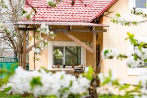 a house with a window with white flowers in front of it at Casa Boierului (Viscauti) in Vîşcăuţi