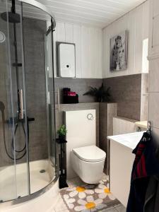 a bathroom with a toilet and a shower and a sink at Ferienhaus an den Eichen in Aschersleben +35 photos