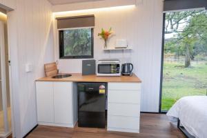 a kitchen with a counter with a microwave and a sink at Sparkling Tiny House by Tiny Away in Windeyer