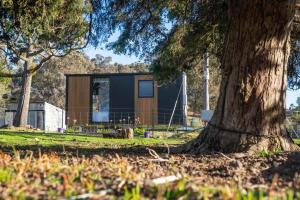 a house in a field with a tree at Sparkling Tiny House by Tiny Away in Windeyer +16 photos