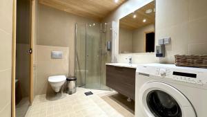 a bathroom with a washing machine and a toilet at Red Apartment 19 in Tahkovuori +13 photos