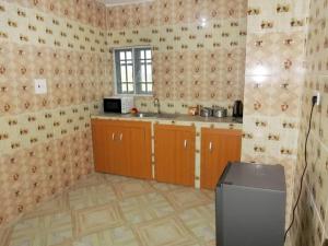 a kitchen with a sink and a microwave in it at P M Serviced Apartments in Lagos