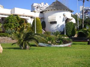 a white building with a palm tree in the grass at Apartamento Juan Sebastian El Cano in Santa Pola