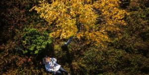 an overhead view of a person standing in front of trees at Lapland Hotels Kuopio in Kuopio +56 photos