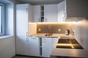 Kuchyňa alebo kuchynka v ubytovaní Haas Apartments