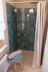 a shower with a stool and a shower curtain at JETHON Appartement am Wasserturm 2 in Nienburg +10 photos