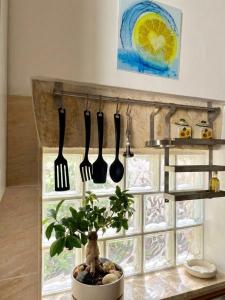 a kitchen with utensils and a plant on a counter at Casavacanze Salento Spani in Veglie