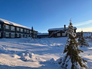 a christmas tree in the snow in front of a building at Nyt høsten på Toppen av Hafjell in Øyer