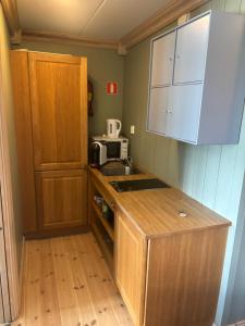 a small kitchen with a sink and a microwave at Nyt høsten på Toppen av Hafjell in Øyer