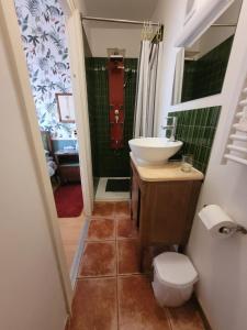 a bathroom with a sink and a toilet at 13 Bohemian Bienvenue B&B in Pontrieux