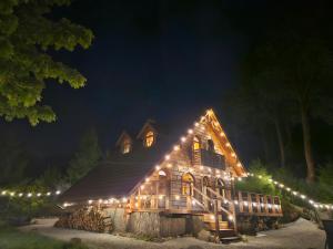 a log cabin with lights on it at night at Forest Camp Dom w Górach Sowich in Michałkowa +35 photos