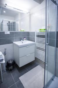 ein weißes Bad mit einem Waschbecken und einer Dusche in der Unterkunft Haas Apartments in Brünn