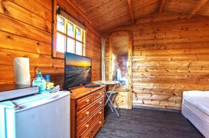 a kitchen with a refrigerator and a television in a log cabin at Ferienholzhaus Sternchen mit Terrasse in Zinnowitz +3 photos