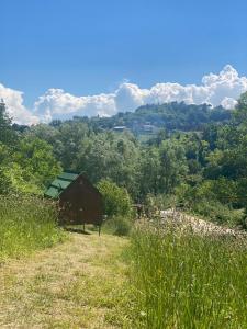 a barn on the side of a hill with trees at Altaluna tiny house sotto le stelle in Trebbiantico