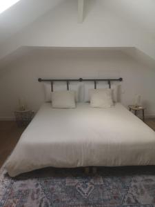 a bedroom with a large white bed with two pillows at Domaine des Bichettes in Mareuil-sur-Lay