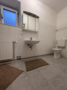 a bathroom with a sink and a toilet at Ferienwohnung in Reichenau an der Rax in Reichenau