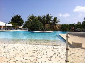 a large swimming pool with blue water and palm trees at Kazalou in Saint-François