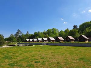 a row of houses in a park with a grass field at Hotel HAVLOV in Žďárec