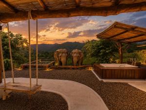 two elephants are standing in a yard with at Elephantpoolvilla maetang Chiangmai in Ban Muang Kut