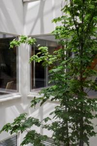 a tree in front of a white building with a window at BX Downtown - Brussels in Brussels +38 photos