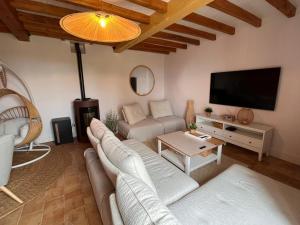 a living room with a couch and a flat screen tv at Les Blancs - Maison de maître entourée de vignes in Lisle-sur-Tarn