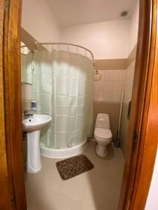 ein Badezimmer mit Toilette, Dusche und Waschbecken in der Unterkunft Готель Даніель in Mukatschewo + 8 Fotos