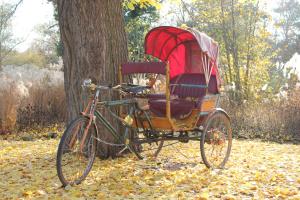 a bicycle with a basket on top of it in a forest at Hotel Kipperquelle in Weimar