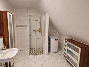 a bathroom with a shower and a sink at Ferienwohnung Gretel in Görlitz