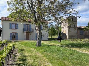 an old house with a tree in the yard at Les Blancs - Maison de maître entourée de vignes in Lisle-sur-Tarn