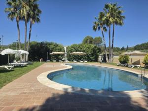 a swimming pool with palm trees in a park at Hotel Don Manuel in Ronda