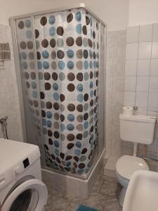 a bathroom with a toilet and a shower at Ferienwohnung Andy in Bremerhaven