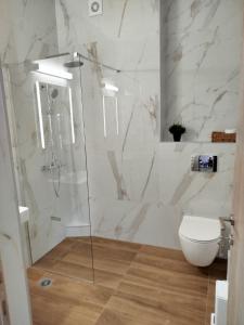 a bathroom with a glass shower with a toilet at Giotis apartments in Leptokarya +42 photos