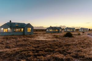 a row of houses in a field at sunset at Quagga River Lodge in Velddrif