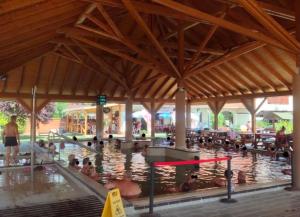 a large group of people in a swimming pool at Fenyőházak in Buzsák
