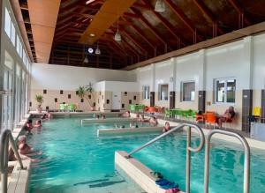 a group of people in a swimming pool at Fenyőházak in Buzsák