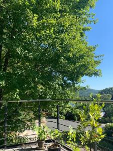 a tree in front of a fence with plants at Ferienwohnung Am Hummerstein in Ebermannstadt