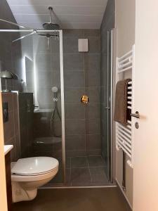 a bathroom with a shower and a toilet at East Apartment in Egilsstaðir