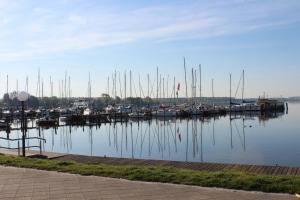 a group of boats docked at a marina at Jonas in Rerik +11 photos