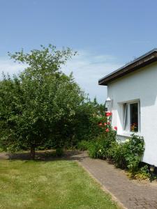 a white house with a tree and a window at Bungalow Alex in Börgerende-Rethwisch