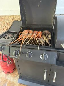 a grill with a bunch of food on it at Coast Sun Gardens Cottage Adults Only in Msambweni