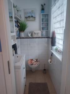a small bathroom with a toilet and a sink at Fischers Fritze in Fehmarn