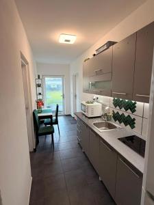 a kitchen with a sink and a table in it at Apartmány KK in Chvalovice +15 photos