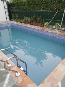 a swimming pool filled with water next to plants at Singhal's Farm House in Greater Noida