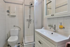 a bathroom with a toilet and a sink and a shower at Herrenhaus Blengow App.15 in Blengow +12 photos