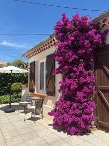 a bunch of purple flowers on the side of a house at Pitch Provence B&B in Ollioules