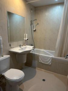 a bathroom with a toilet and a sink and a tub at Dafovska Hotel in Pamporovo